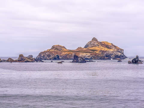 Castle in the sea