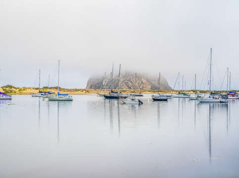 Foggy in morro bay 2