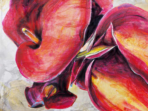 Calla lilies 2 2