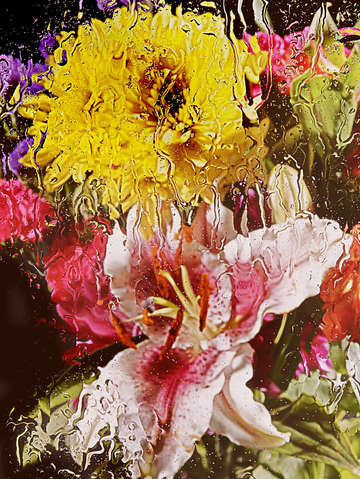 Rain flowers 1