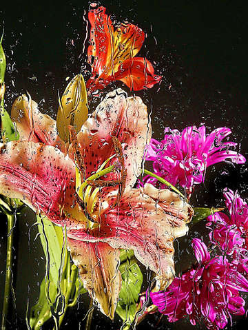 Rain flowers 3