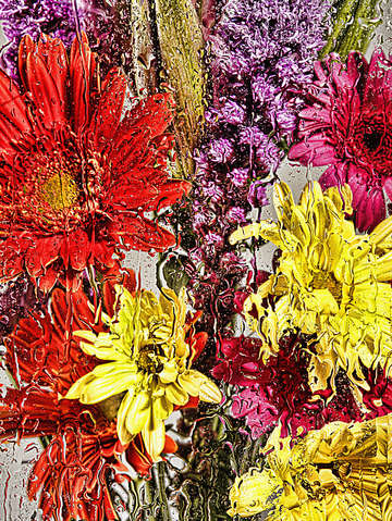Rain flowers 7