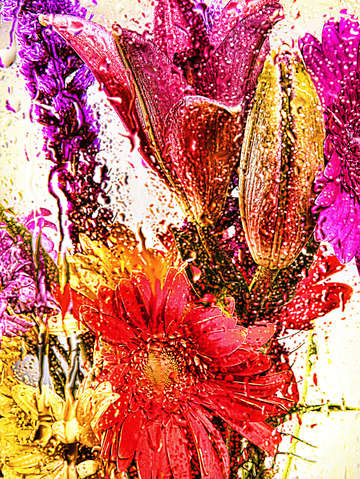 Rain flowers 8