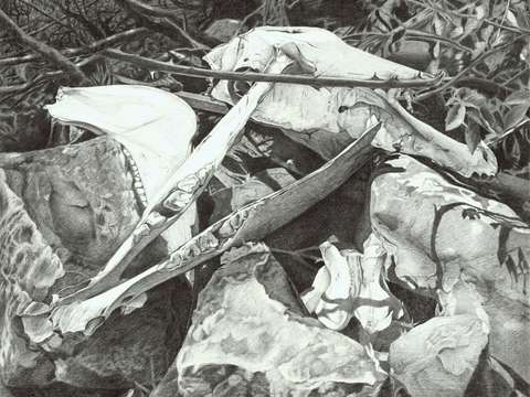 Vanitas 2