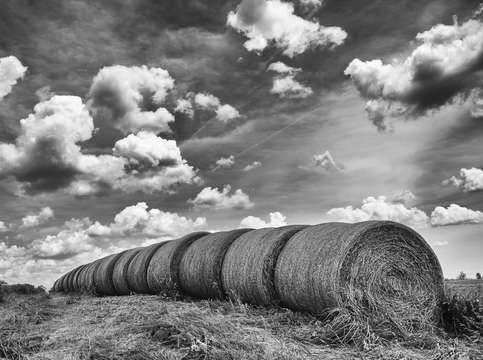 Booneville bales