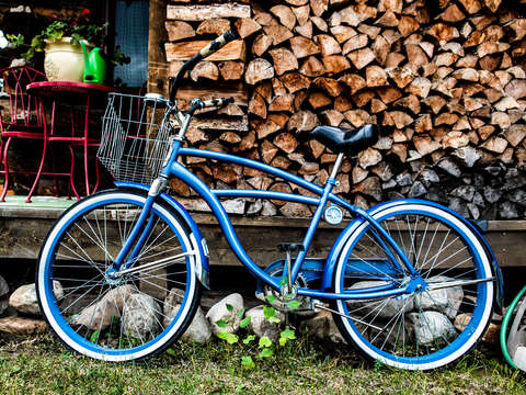 Crested butte cruiser bike