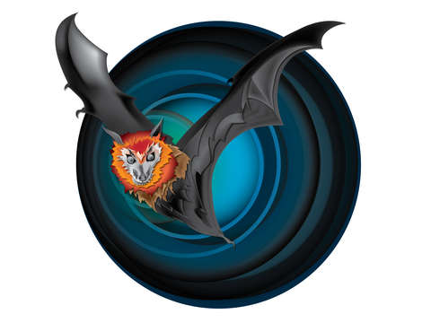 The echolocator