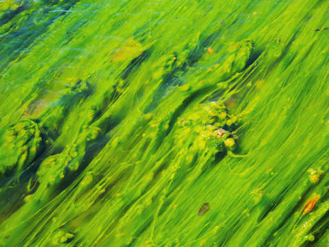 What flows is untethered