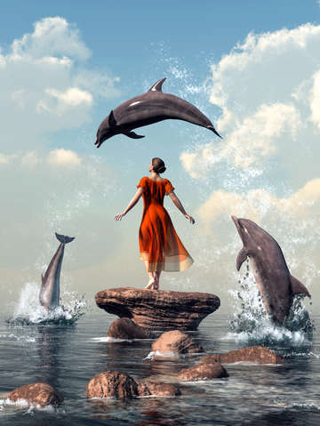 Dolphin rock