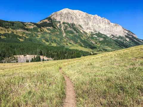 Mountain bike trail in crested butte