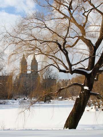 After the snowstorm