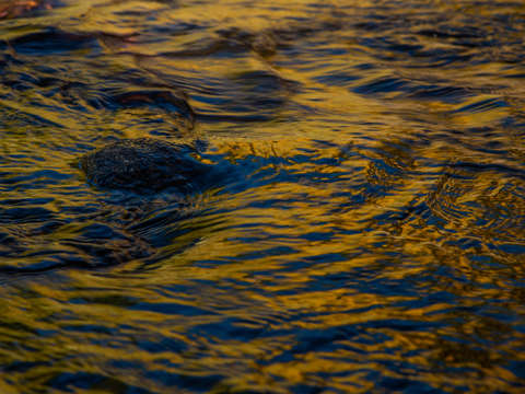 Fall ripples