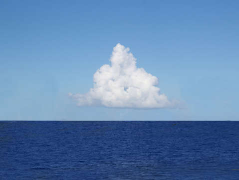 White cloud