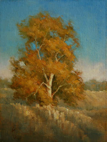 Autumn Tree