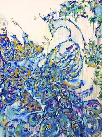 Blue peacock