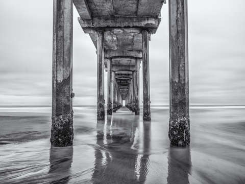 Scripps grayscale