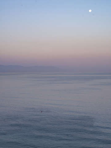 Dolphin moon