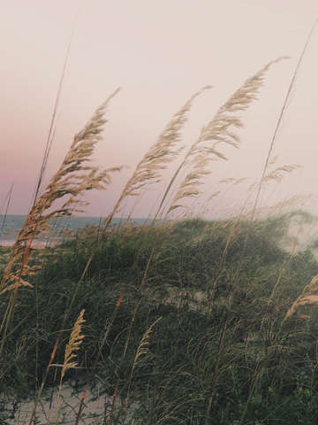 Beach love