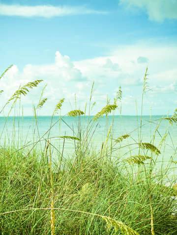 Summer by the sea