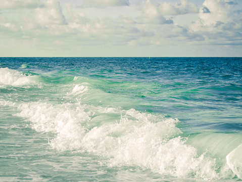 Tropical beach bliss