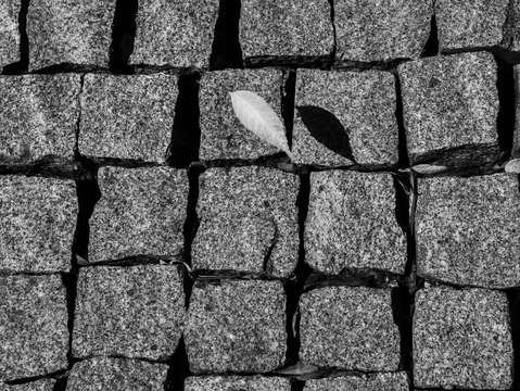 Floating leaf