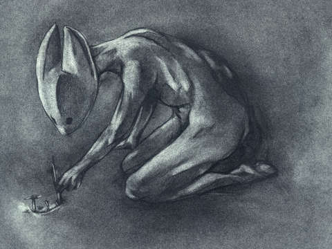 Writing the Harvest