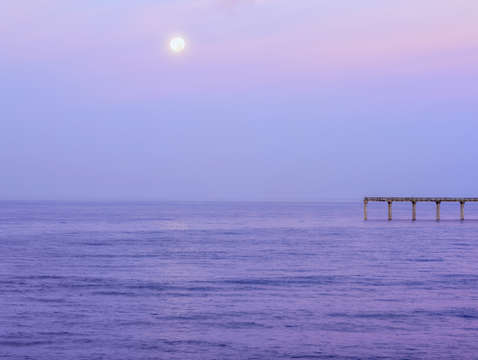 Purple moon