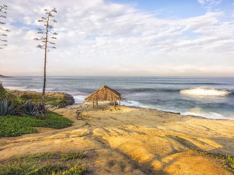 A shack and a wave