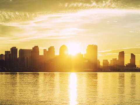 Golden glow 4