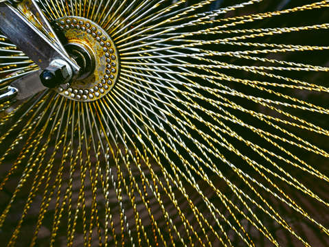 Spokes of the wheel 5183