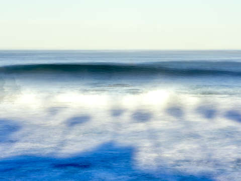 Palm trees on the sea
