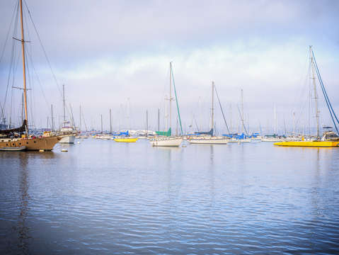 Harbor vintage