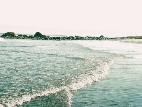 Mermaid seas