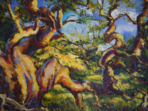 Koa trees two
