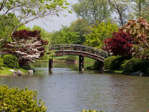 Serenity Bridge