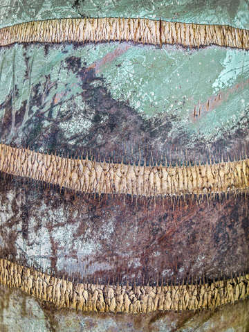 Tropical palm bark