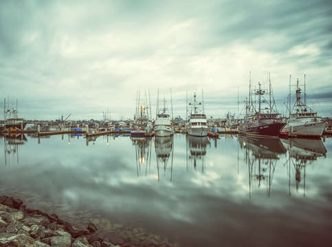 Tuna harbor vintage