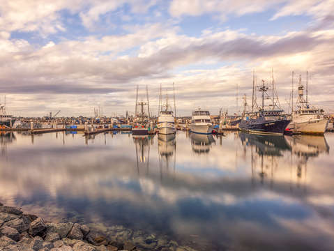 Tuna harbor vibrant