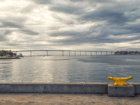 Splash of yellow