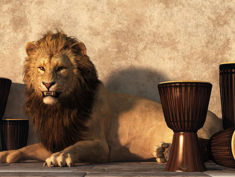 A lion among drums