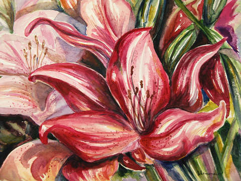 Burgandy lily