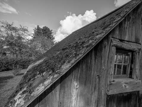 Old shed 2