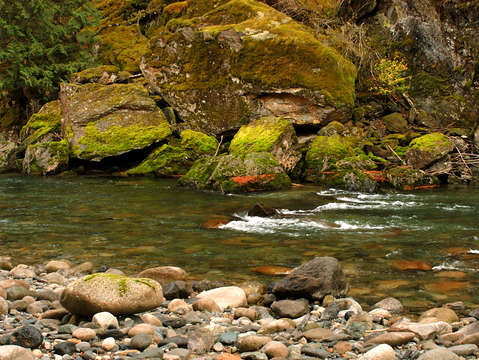 River pool