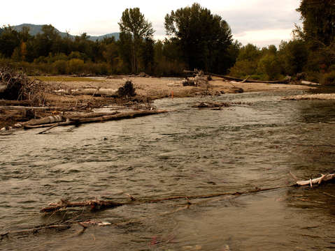 Adams river bc
