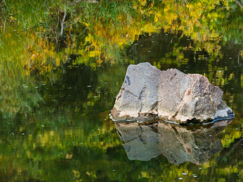 Glassy river