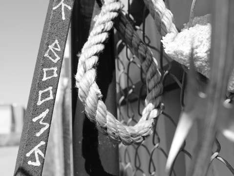Knotty 2
