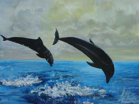 Dolphin date
