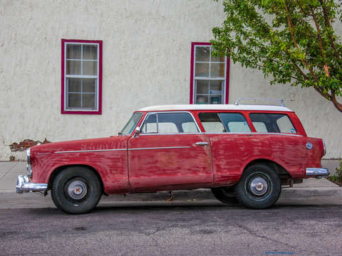 American rambler profile
