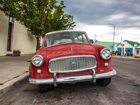 American rambler in salida