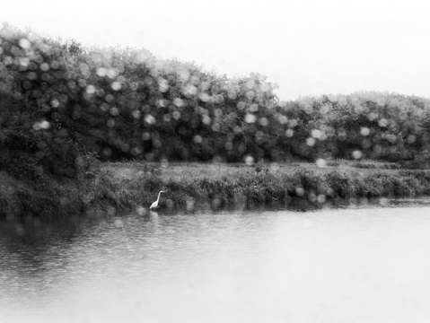 Shoreline 3